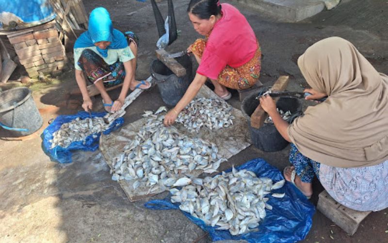 Beban Ganda Perempuan Pesisir: Ketidakadilan Gender dan Dampak Krisis Ekologis